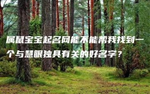 属鼠宝宝起名网能不能帮我找到一个与慧眼独具有关的好名字？