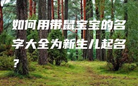 如何用带鼠宝宝的名字大全为新生儿起名？