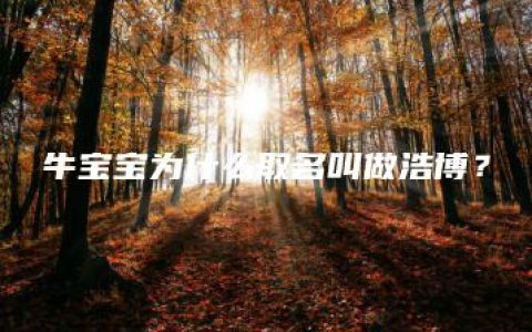 牛宝宝为什么取名叫做浩博？