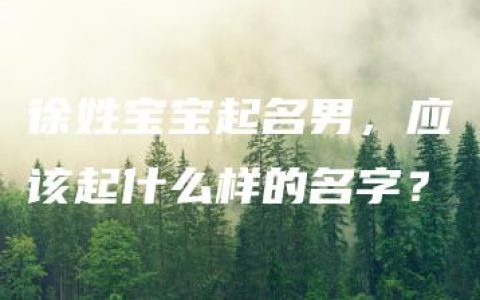 徐姓宝宝起名男，应该起什么样的名字？