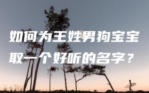 如何为王姓男狗宝宝取一个好听的名字？