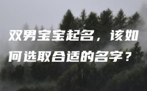 双男宝宝起名，该如何选取合适的名字？