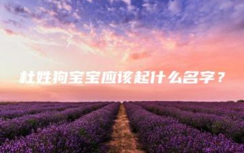 杜姓狗宝宝应该起什么名字？