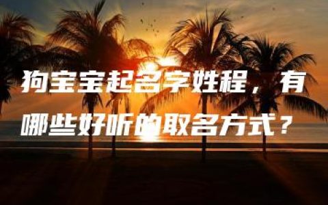 狗宝宝起名字姓程，有哪些好听的取名方式？