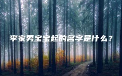 李家男宝宝起的名字是什么？