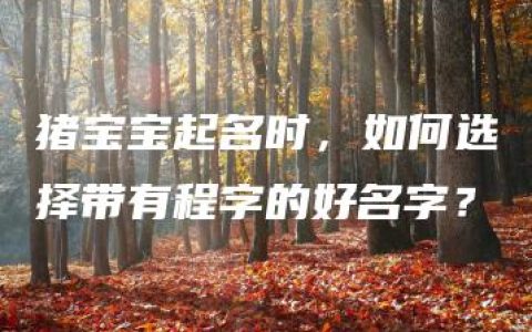 猪宝宝起名时，如何选择带有程字的好名字？