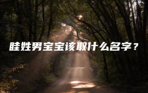 眭姓男宝宝该取什么名字？