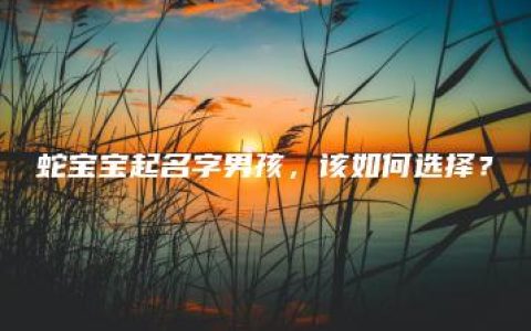 蛇宝宝起名字男孩，该如何选择？