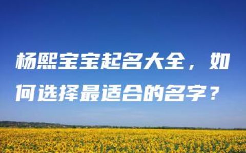 杨熙宝宝起名大全，如何选择最适合的名字？