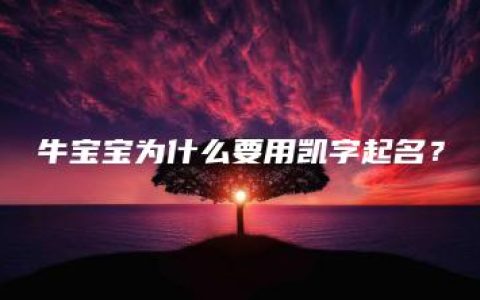 牛宝宝为什么要用凯字起名？