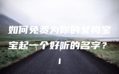 如何免费为你的女狗宝宝起一个好听的名字？