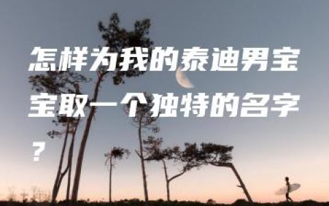 怎样为我的泰迪男宝宝取一个独特的名字？