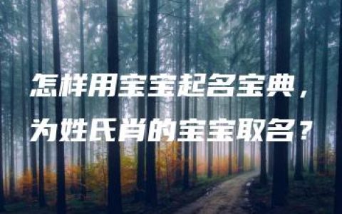 怎样用宝宝起名宝典，为姓氏肖的宝宝取名？