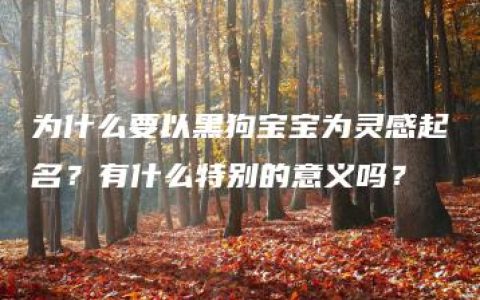 为什么要以黑狗宝宝为灵感起名？有什么特别的意义吗？