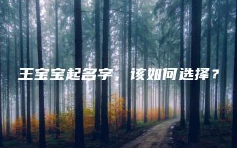 王宝宝起名字，该如何选择？