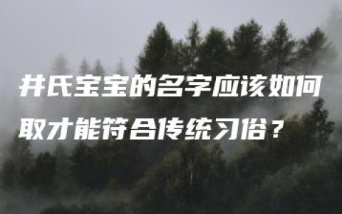 井氏宝宝的名字应该如何取才能符合传统习俗？