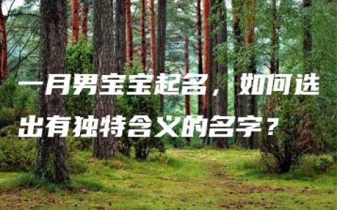 一月男宝宝起名，如何选出有独特含义的名字？