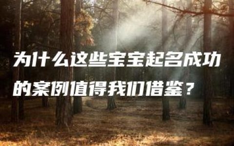 为什么这些宝宝起名成功的案例值得我们借鉴？