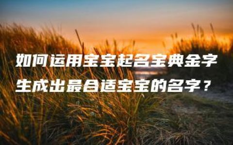 如何运用宝宝起名宝典金字生成出最合适宝宝的名字？