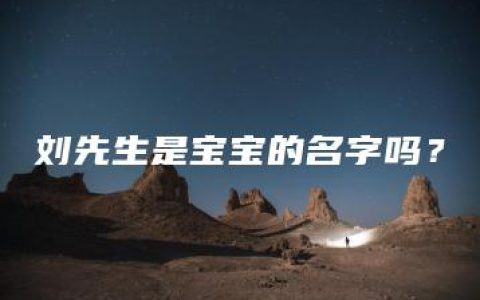 刘先生是宝宝的名字吗？