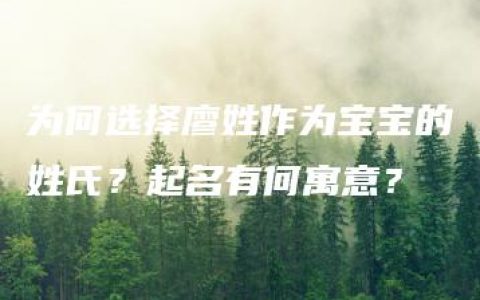 为何选择廖姓作为宝宝的姓氏？起名有何寓意？