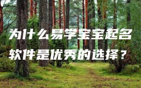 为什么易学宝宝起名软件是优秀的选择？