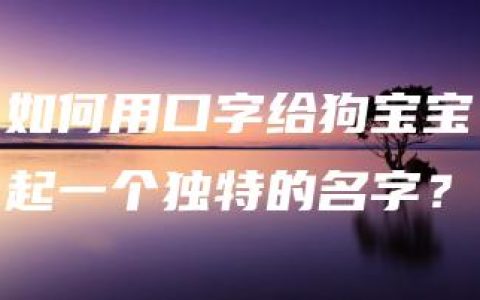 如何用口字给狗宝宝起一个独特的名字？