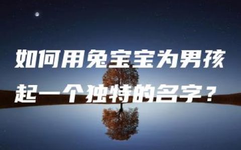 如何用兔宝宝为男孩起一个独特的名字？