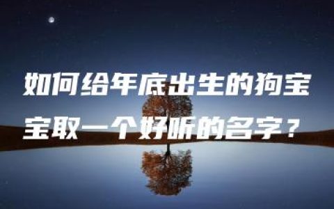 如何给年底出生的狗宝宝取一个好听的名字？