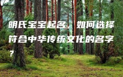 明氏宝宝起名，如何选择符合中华传统文化的名字？