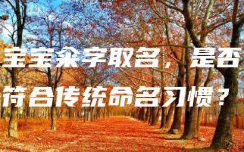 宝宝籴字取名，是否符合传统命名习惯？