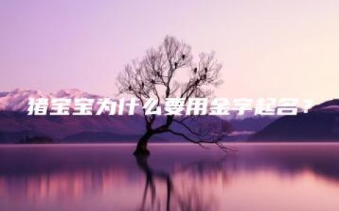 猪宝宝为什么要用金字起名？