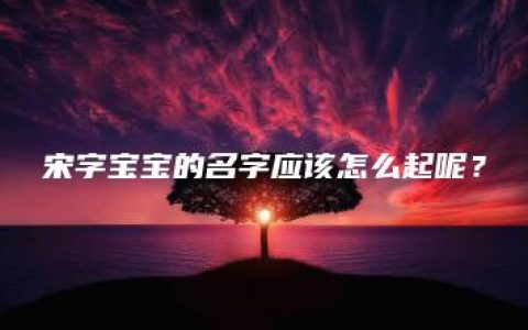 宋字宝宝的名字应该怎么起呢？