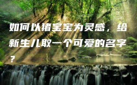 如何以猪宝宝为灵感，给新生儿取一个可爱的名字？