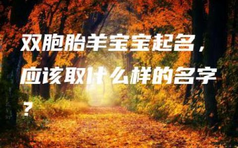 双胞胎羊宝宝起名，应该取什么样的名字？