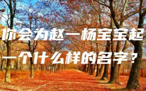 你会为赵一杨宝宝起一个什么样的名字？