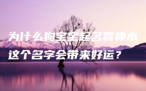 为什么狗宝宝起名喜神水这个名字会带来好运？