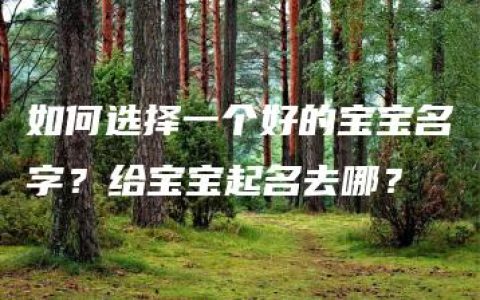 如何选择一个好的宝宝名字？给宝宝起名去哪？