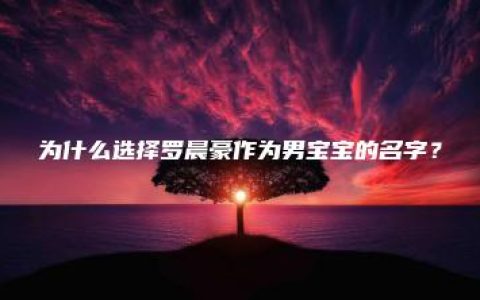 为什么选择罗晨豪作为男宝宝的名字？