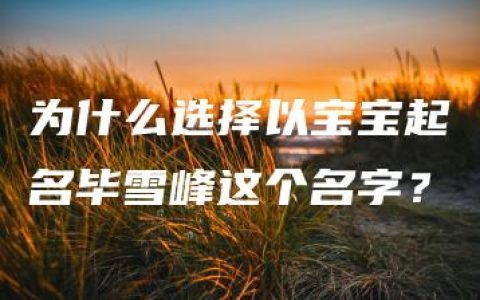 为什么选择以宝宝起名毕雪峰这个名字？