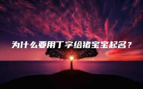 为什么要用丁字给猪宝宝起名？