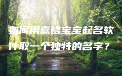 如何用嘉铭宝宝起名软件取一个独特的名字？