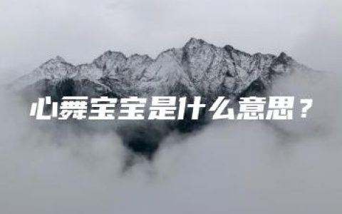 心舞宝宝是什么意思？