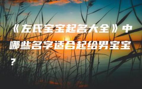 《左氏宝宝起名大全》中哪些名字适合起给男宝宝？