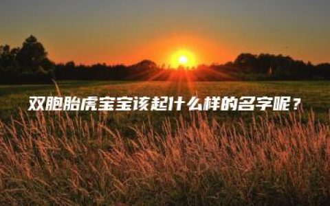 双胞胎虎宝宝该起什么样的名字呢？