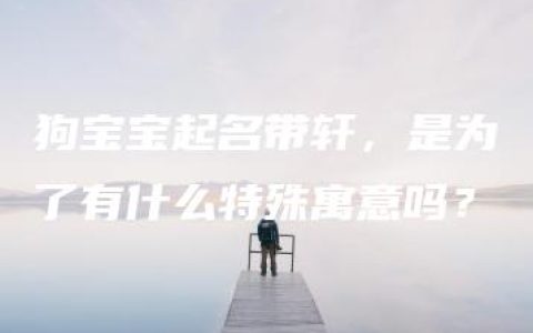 狗宝宝起名带轩，是为了有什么特殊寓意吗？