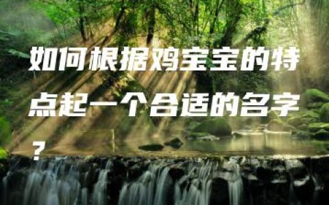 如何根据鸡宝宝的特点起一个合适的名字？