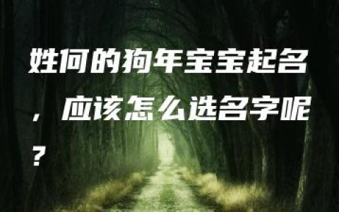 姓何的狗年宝宝起名，应该怎么选名字呢？