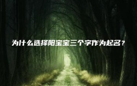 为什么选择阳宝宝三个字作为起名？