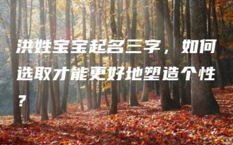 洪姓宝宝起名三字，如何选取才能更好地塑造个性？